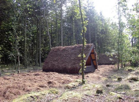 Billede 1: Skovbrynet Momhøje Shelter 8