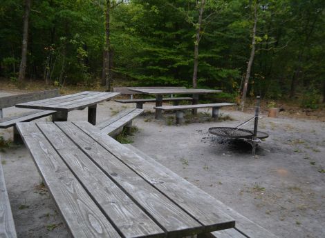 Billede 2: Hängemattenhutte Skjern Birk Plantage