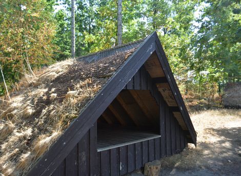 Billede 2: Skovbrynet Momhøje Shelter 4