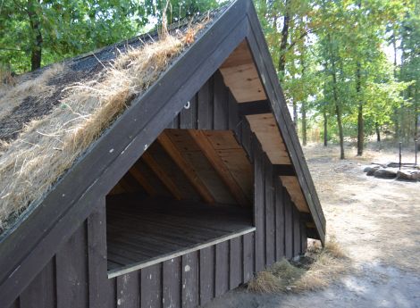 Billede 3: Skovbrynet Momhøje Shelter 4