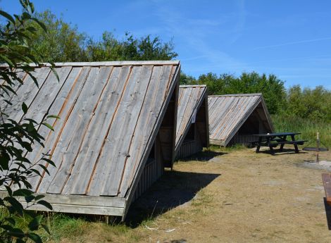 Billede 2: Stauning HavnShelter 1