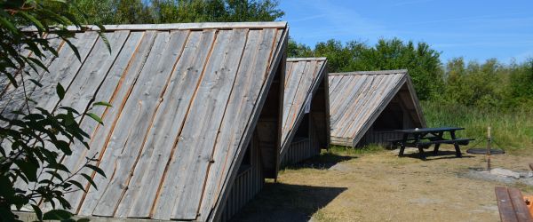 Stauning Havn Shelter 1