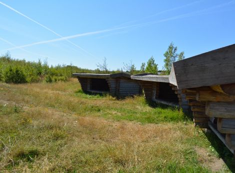 Billede 1: Ringkøbing Skole Shelter 1
