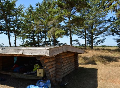 Billede 1: Alrum Strand Shelter