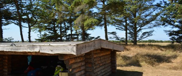 Alrum Strand Shelter