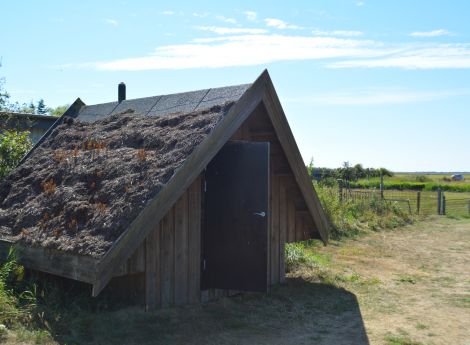 Billede 5: Bjerregård Havn Shelter 3