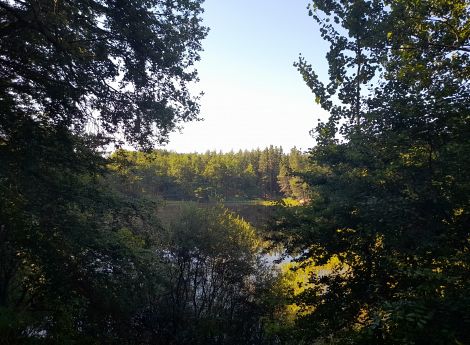 Billede 4: Ejstrup Søerne Shelter 2