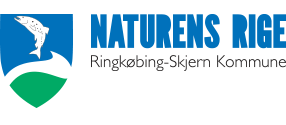 Ringkøbing Skjern Kommune logo
